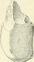 Picture 57 of 91 from Les origines : questions d'apologétique (1890), leaf 320