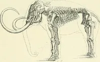 An illustration from Les origines : questions d'apologétique (1890)