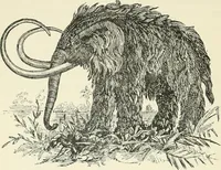 Picture 59 of 91 from Les origines : questions d'apologétique (1890), leaf 323