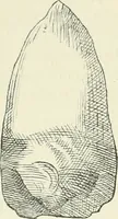 Picture 61 of 91 from Les origines : questions d'apologétique (1890), leaf 327