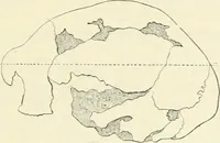 An illustration from Les origines : questions d'apologétique (1890)