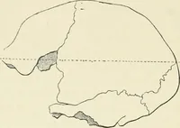 An illustration from Les origines : questions d'apologétique (1890)