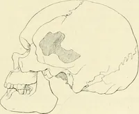 An illustration from Les origines : questions d'apologétique (1890)