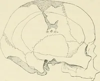 An illustration from Les origines : questions d'apologétique (1890)