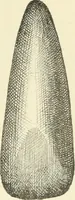 Picture 79 of 91 from Les origines : questions d'apologétique (1890), leaf 354