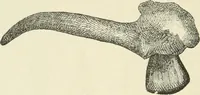 Picture 80 of 91 from Les origines : questions d'apologétique (1890), leaf 355