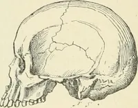 An illustration from Les origines : questions d'apologétique (1890)