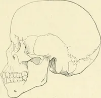 An illustration from Les origines : questions d'apologétique (1890)