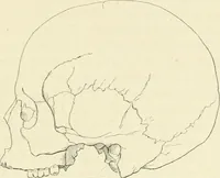 An illustration from Les origines : questions d'apologétique (1890)