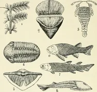 An illustration from Les origines : questions d'apologétique (1890)