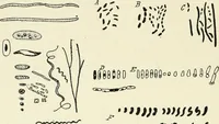 Picture 9 of 91 from Les origines : questions d'apologétique (1890), leaf 67