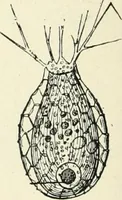 Picture 13 of 91 from Les origines : questions d'apologétique (1890), leaf 87