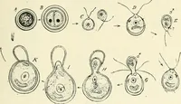 An illustration from Les origines : questions d'apologétique (1890)