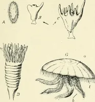 An illustration from Les origines : questions d'apologétique (1890)