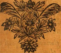 An illustration from Les panégyriques des saints (1664)