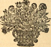 Picture 20 of 22 from Les panégyriques des saints (1664), leaf 553