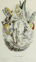 Picture 3 of 24 from Les papillons. Metamorphoses terrestres des peuples de l'air (1852), leaf 16
