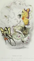 Picture 19 of 24 from Les papillons. Metamorphoses terrestres des peuples de l'air (1852), leaf 226