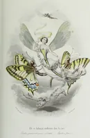 Picture 8 of 24 from Les papillons. Metamorphoses terrestres des peuples de l'air (1852), leaf 80