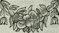 An illustration from Les paroles remarquables, les bons mots, et Les maximes des Orientaux (1694)