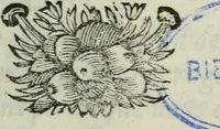 An illustration from Les paroles remarquables, les bons mots, et Les maximes des Orientaux (1694)
