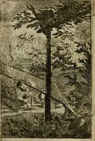An illustration from Les pieux sentimens d'une ame chrestienne : exposez sous des emblesmes familiers, tirez de l'Ecriture Sainte : divisez en trois parties : la premiere traite des larmes & soûpirs de la penitence, la seconde, des desirs de l'ame juste, la troisième, des soûpirs d'une ame convertie en Dieu : traduction nouvelle, avec des figures (1692)