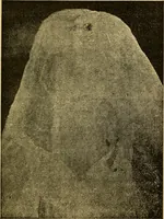 An illustration from Le spiritisme (fakirisme occidental) : étude historique, critique et expérimentale : avec figures dans le texte (1887)