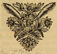 An illustration from Les plaintes des protestans, cruellement opprimez dans le royaume de France (1686)