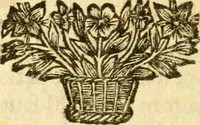 Picture 9 of 12 from Les plus belles lettres des meilleurs auteurs François : avec des notes (1696), leaf 165