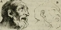 An illustration from Les premiers elemens de la peinture pratique : enrichis de figures de proportion mesurées sur l'antique (1684)