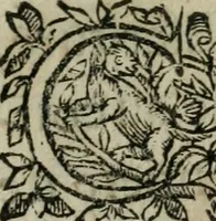 An illustration from Les principavx poincts de la foy de l'eglise catholiqve : Defendvs contres l'escrit addressé au roy par les quatre Ministres de Charenton (1630)