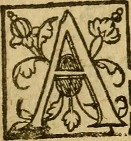 An illustration from Les propheties de M. Michel Nostradamvs. : Dont il y en a trois cens qui n'ont encores jamais esté imprimées, trouuez en vne biblioteque delaissez par l'autheur (1611)