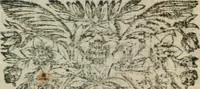 Picture 2 of 11 from Les prétendus réformez convaincus de schisme : Pour servir de réponse à un récit intitulé Considérations sur les lettres circulaires de l'Assemblée du clergé de France de l'année 1682 (1684), leaf 13