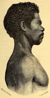 An illustration from Les pygmées (1887)