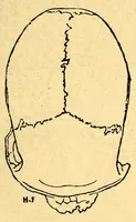 Picture 12 of 14 from Les pygmées (1887), leaf 291