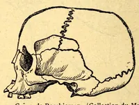 An illustration from Les pygmées (1887)