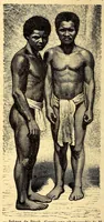 Picture 5 of 14 from Les pygmées (1887), leaf 68