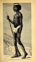 Picture 6 of 14 from Les pygmées (1887), leaf 75