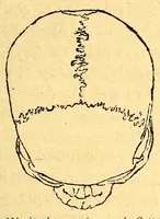 Picture 7 of 14 from Les pygmées (1887), leaf 79