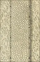 Picture 145 of 285 from Les quatre liures de l'architecture d'André Palladio : mis en françois : dans lesquels, après vn petit traitté des cinq ordres, auec quelques-vnes des plus necessaires obseruations pour bien bastir, il parle de la construction des maisons particulieres, des grands chemins, des ponts, des places publiques, des xystes, des basiliques, & des temples (1650), leaf 163