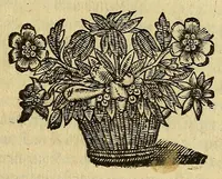 An illustration from Les Raisons ov les motifs veritables de la deffense dv Parlement & des habitans de Paris : contre les perturbateurs du repos public, & les ennemis du roy & de l'estat (1649)