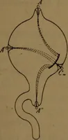 An illustration from Les rayons cathodiques (1900)