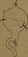 An illustration from Les rayons cathodiques (1900)