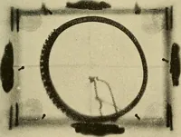 An illustration from Les rayons X et la photographie a travers les corps opaques (1896)