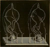 An illustration from Les rayons X et la photographie a travers les corps opaques (1896)