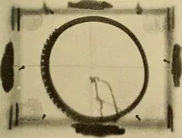 An illustration from Les rayons X et la photographie a travers les corps opaques (1896)