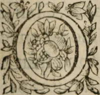 Picture 19 of 135 from Les recherches des Recherches [et] autres oeuures de me Estienne Pasqvier, pour la defense de nos roys, contre les outrages, calomnies, [et] autres impertinences dudit autheur .. (1622), leaf 123