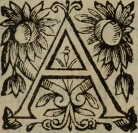 Picture 33 of 135 from Les recherches des Recherches [et] autres oeuures de me Estienne Pasqvier, pour la defense de nos roys, contre les outrages, calomnies, [et] autres impertinences dudit autheur .. (1622), leaf 236