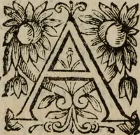 Picture 71 of 135 from Les recherches des Recherches [et] autres oeuures de me Estienne Pasqvier, pour la defense de nos roys, contre les outrages, calomnies, [et] autres impertinences dudit autheur .. (1622), leaf 511
