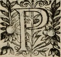 Picture 75 of 135 from Les recherches des Recherches [et] autres oeuures de me Estienne Pasqvier, pour la defense de nos roys, contre les outrages, calomnies, [et] autres impertinences dudit autheur .. (1622), leaf 527